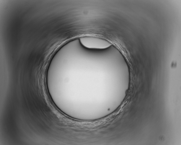 X0000102760001200808180942