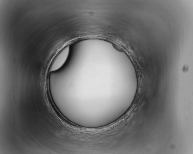 X0000102760002200808180942