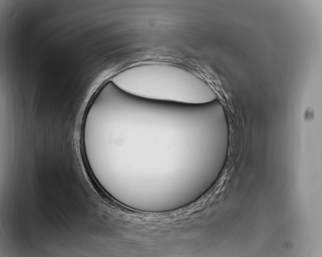 X0000102760003200808180942