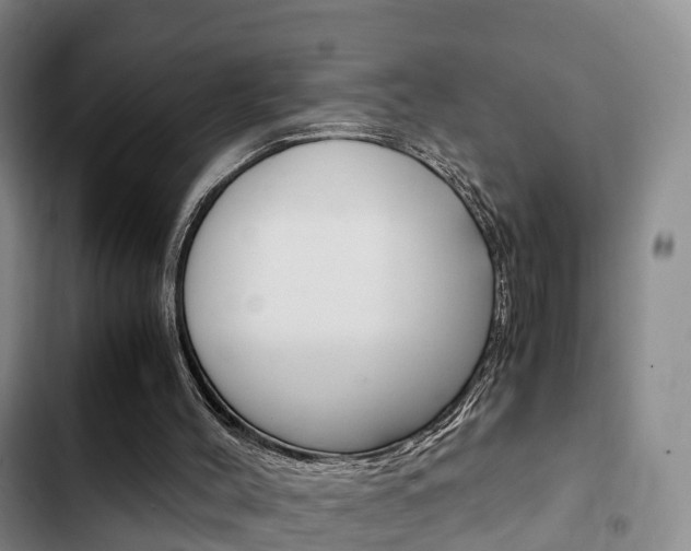 X0000102760004200808180942