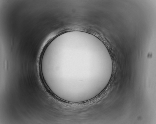 X0000102760006200808180942