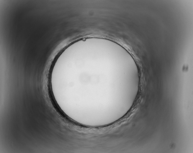 X0000102760007200808180942