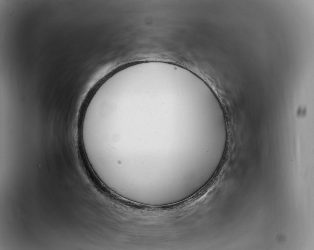 X0000102760008200808180942