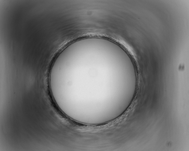 X0000102760009200808180942