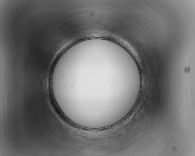 X0000102760010200808180942