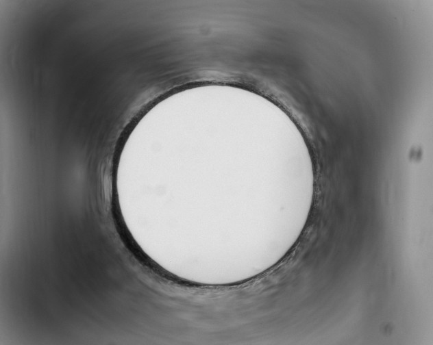X0000102760011200808180942