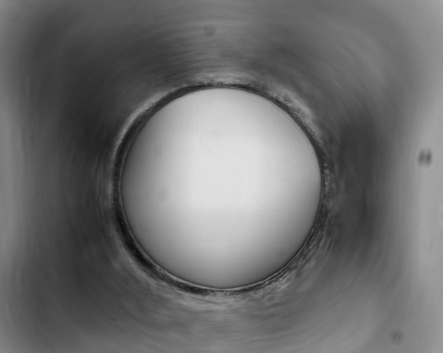 X0000102760012200808180942