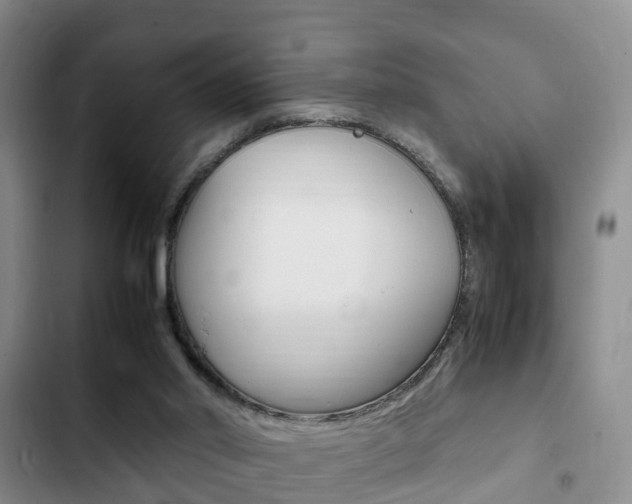 X0000102760014200808180942