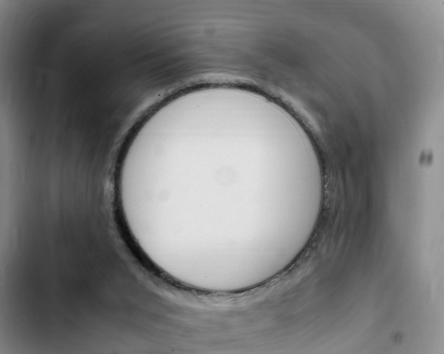 X0000102760015200808180942