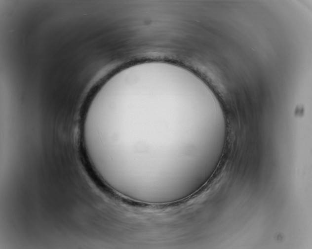 X0000102760016200808180942