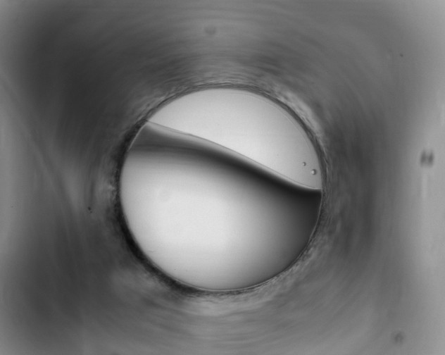 X0000102760017200808180942
