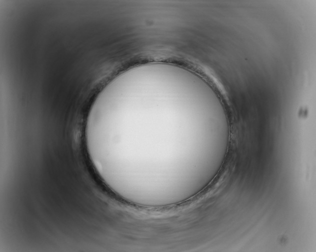 X0000102760018200808180942
