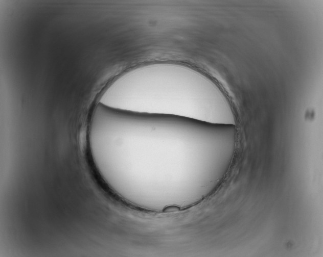 X0000102760019200808180942