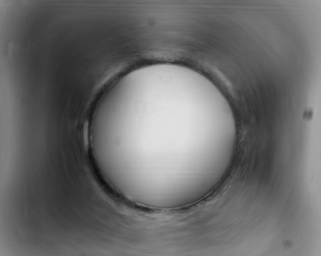 X0000102760020200808180942
