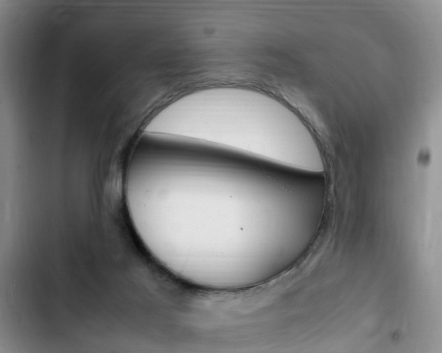X0000102760021200808180942