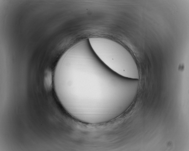 X0000102760022200808180942