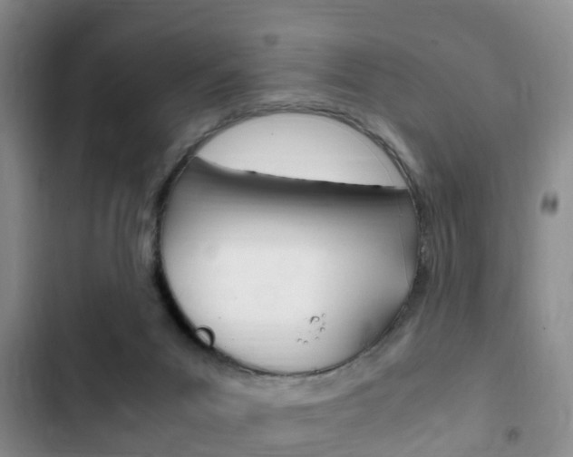 X0000102760023200808180942