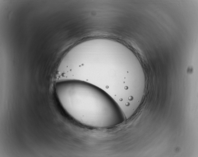 X0000102760024200808180942