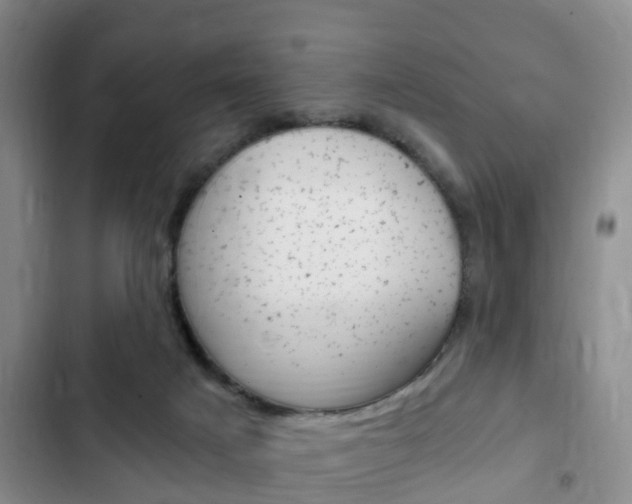 X0000102760025200808180942
