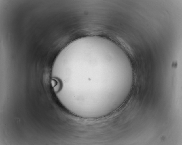 X0000102760026200808180942