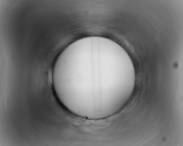 X0000102760027200808180942