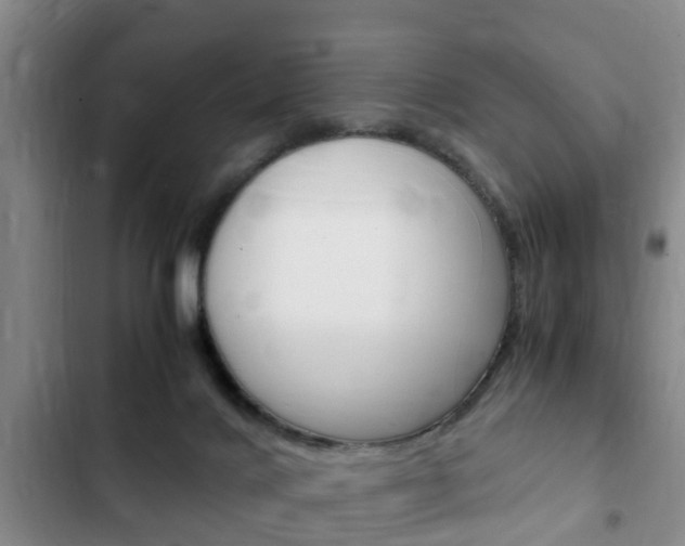 X0000102760028200808180942