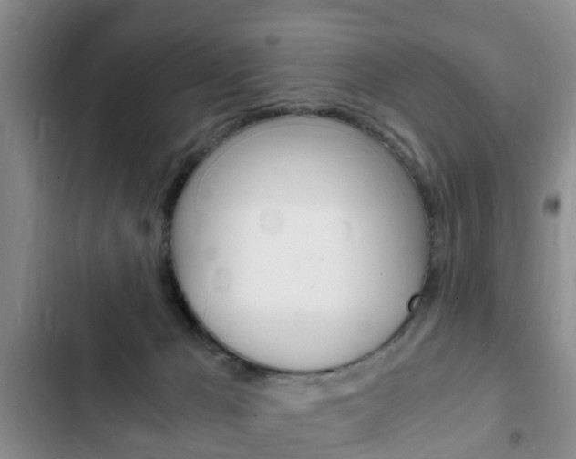 X0000102760029200808180942