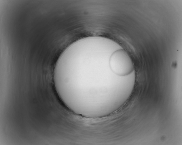 X0000102760030200808180942