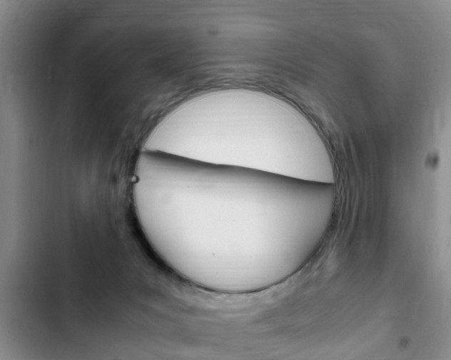 X0000102760031200808180942