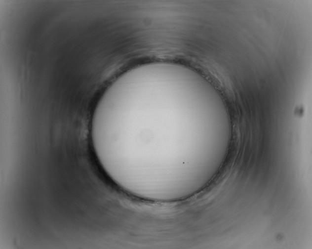X0000102760032200808180942