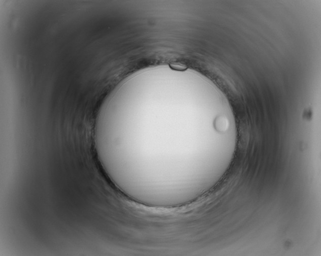 X0000102760034200808180942