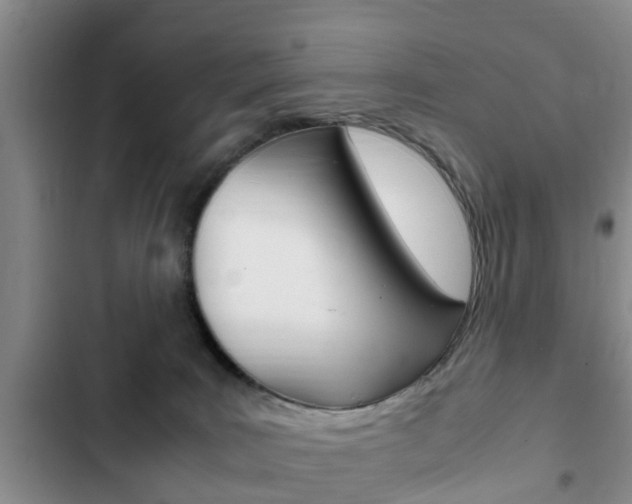 X0000102760035200808180942