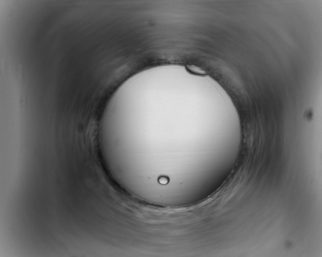 X0000102760036200808180942