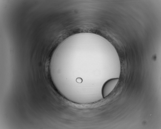 X0000102760038200808180942