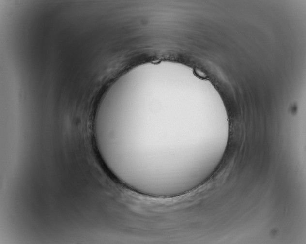 X0000102760039200808180942