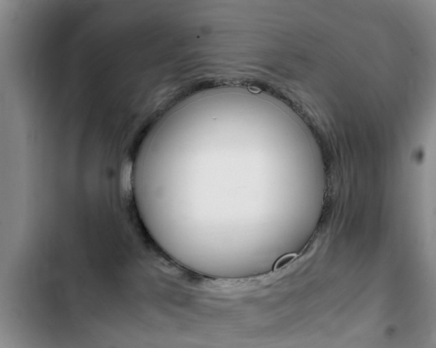 X0000102760041200808180942