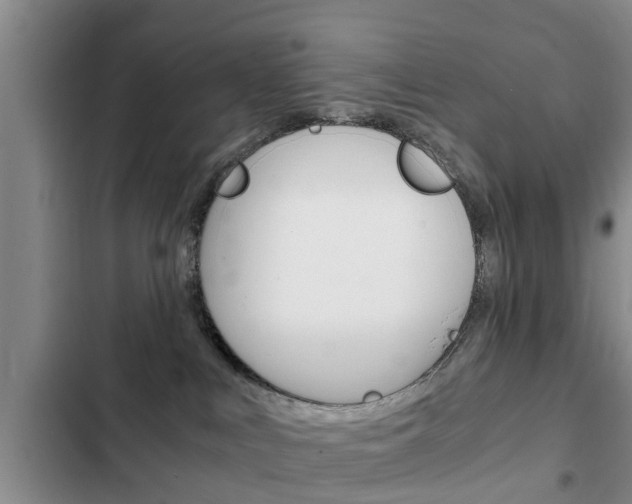 X0000102760043200808180942