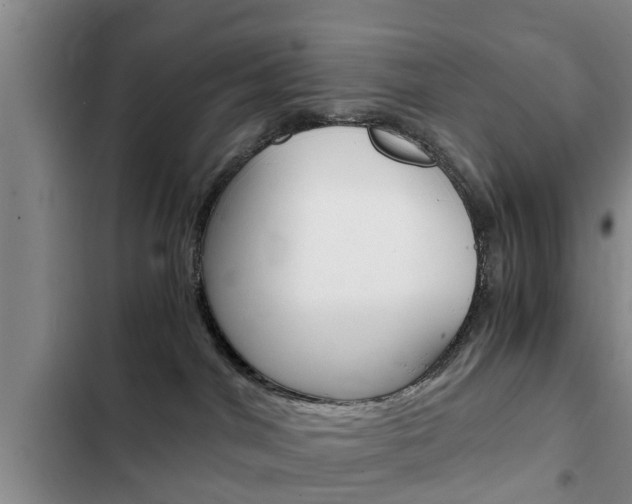 X0000102760044200808180942