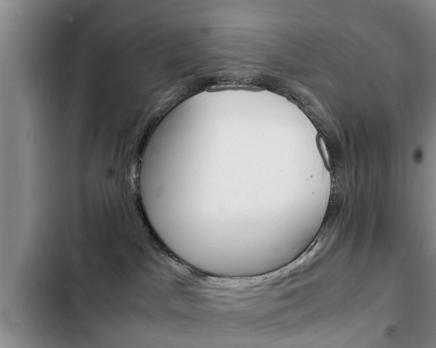 X0000102760045200808180942