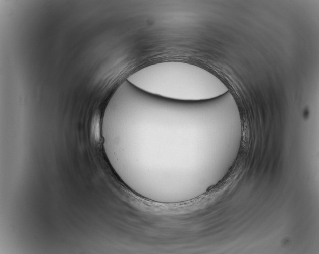 X0000102760046200808180942