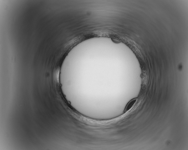 X0000102760047200808180942