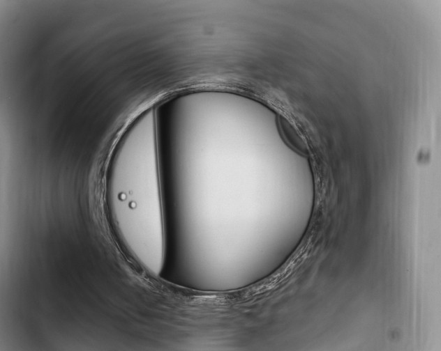 X0000102760050200808180941