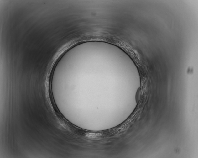 X0000102760051200808180941