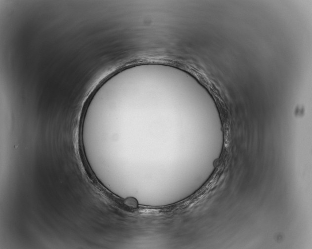 X0000102760052200808180941