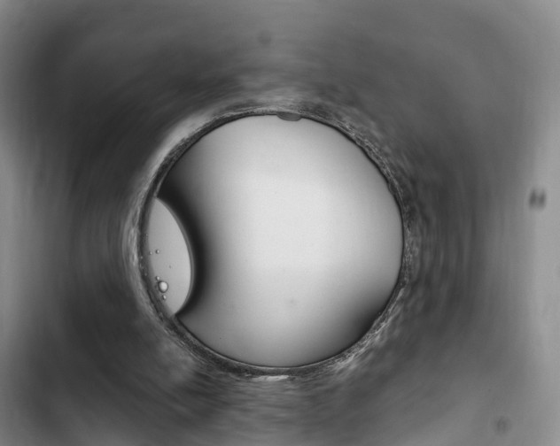 X0000102760054200808180941