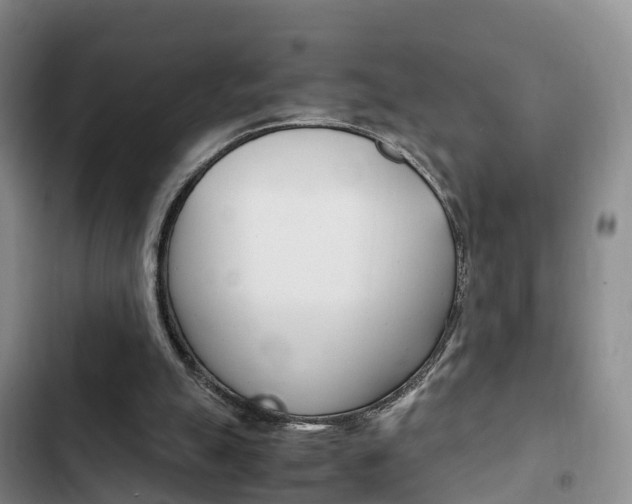 X0000102760055200808180941