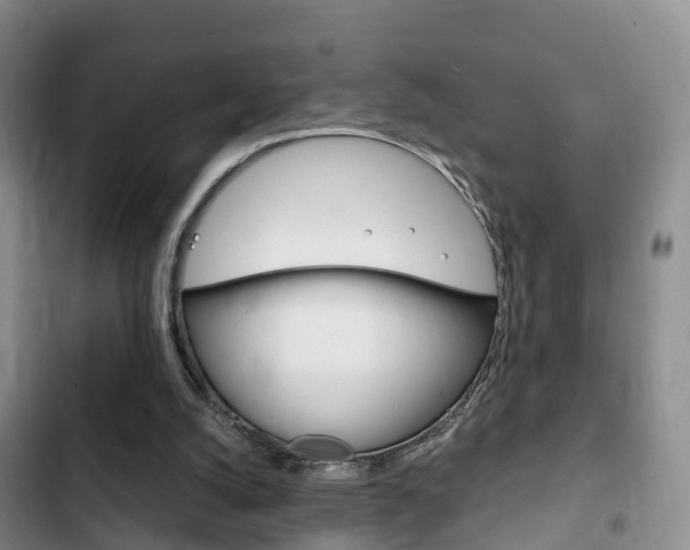 X0000102760056200808180941