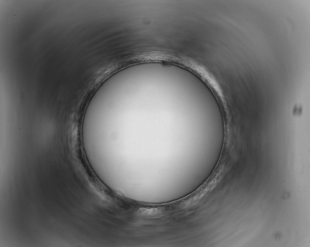 X0000102760057200808180941