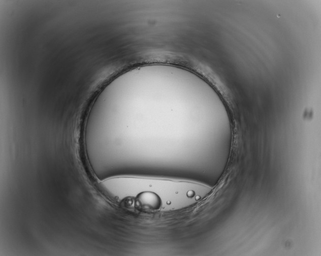 X0000102760058200808180941