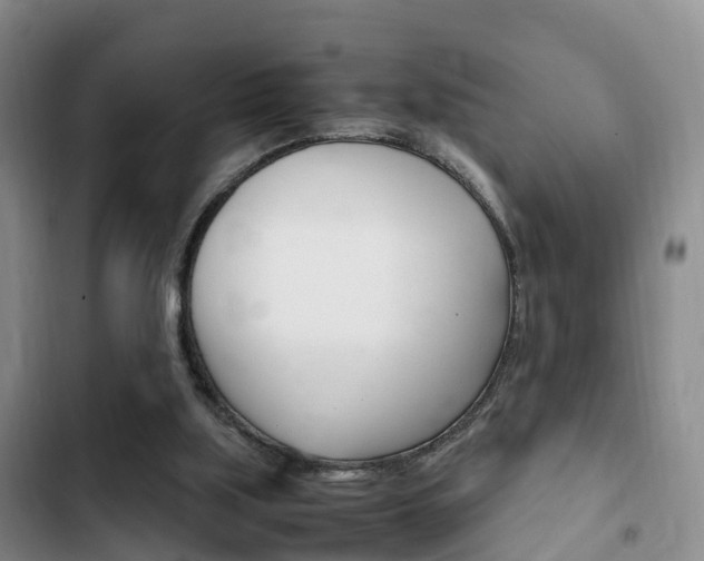 X0000102760059200808180941